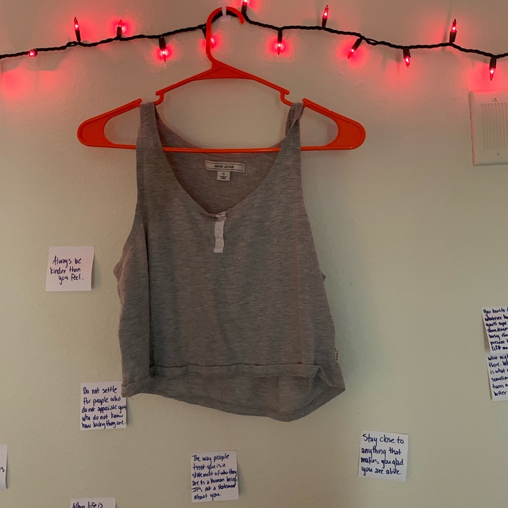 Gray crop top
